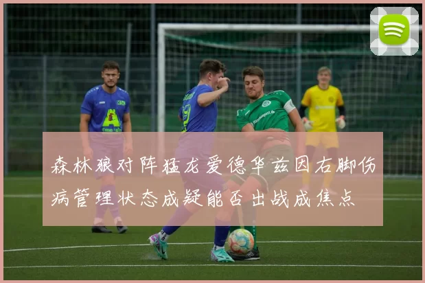 森林狼对阵猛龙爱德华兹因右脚伤病管理状态成疑能否出战成焦点