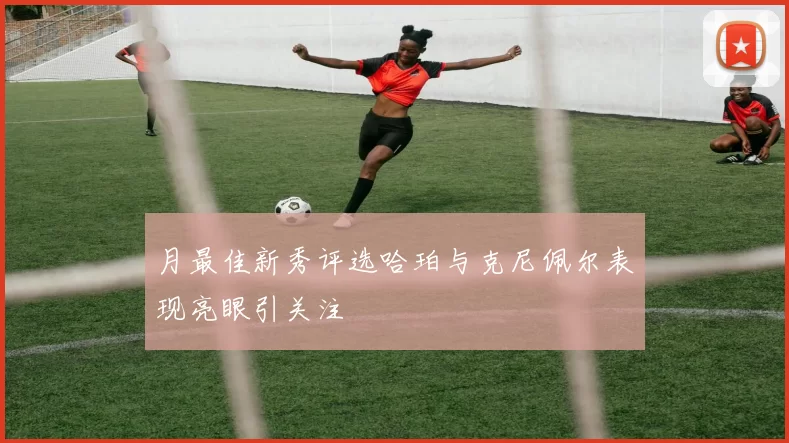 月最佳新秀评选哈珀与克尼佩尔表现亮眼引关注